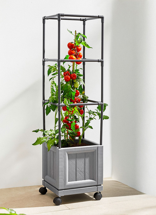 Plantenbakken - XXL planttoren met wielen, in Farbe GRIJS Ansicht 1