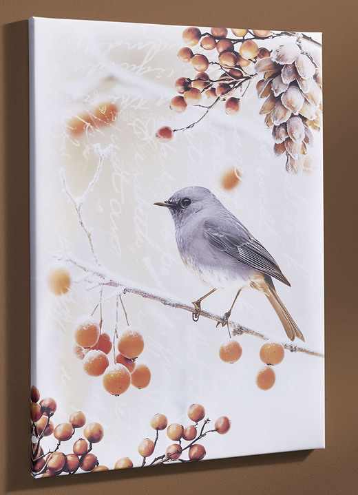 Dieren - Foto Vogel van het Jaar 2025 Zwarte Roodstaart op canvas, in Farbe BUNT, in Ausführung Zwarte roodstaart vanaf de zijkant Ansicht 1
