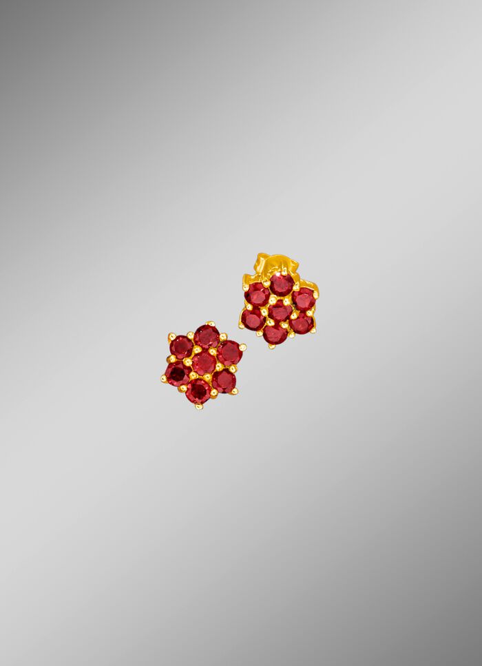 Oorbellen met echte granaat 