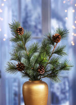 Pijnboomtakken met echte pijnappels, set van 2 