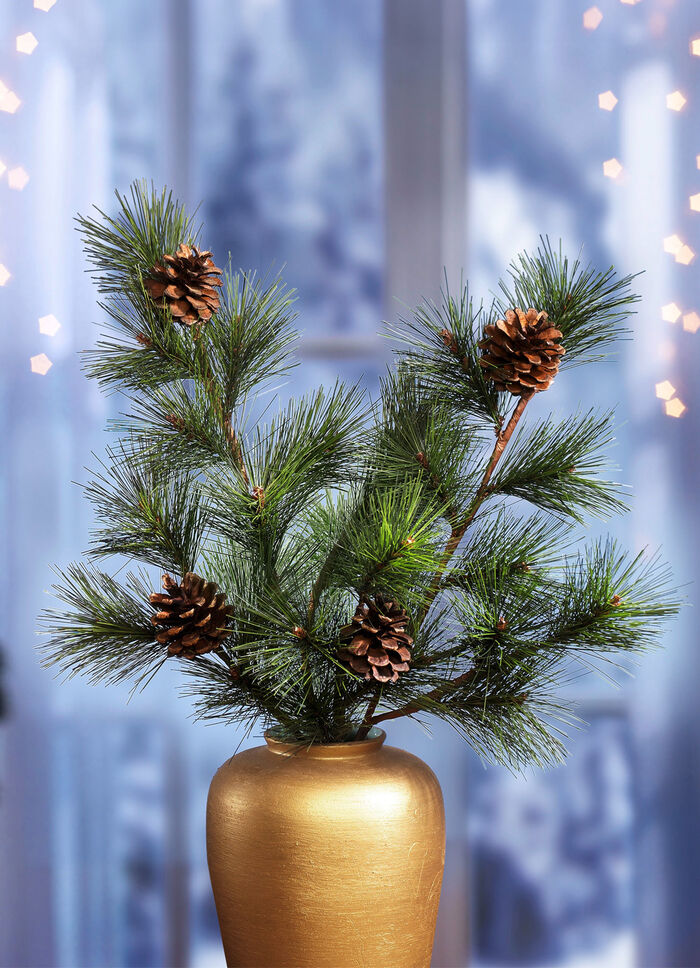 Pijnboomtakken met echte pijnappels, set van 2 