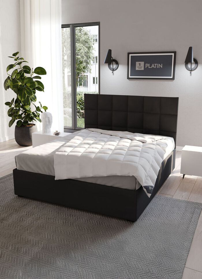 Downprogramma platina van Spessarttraum WIT