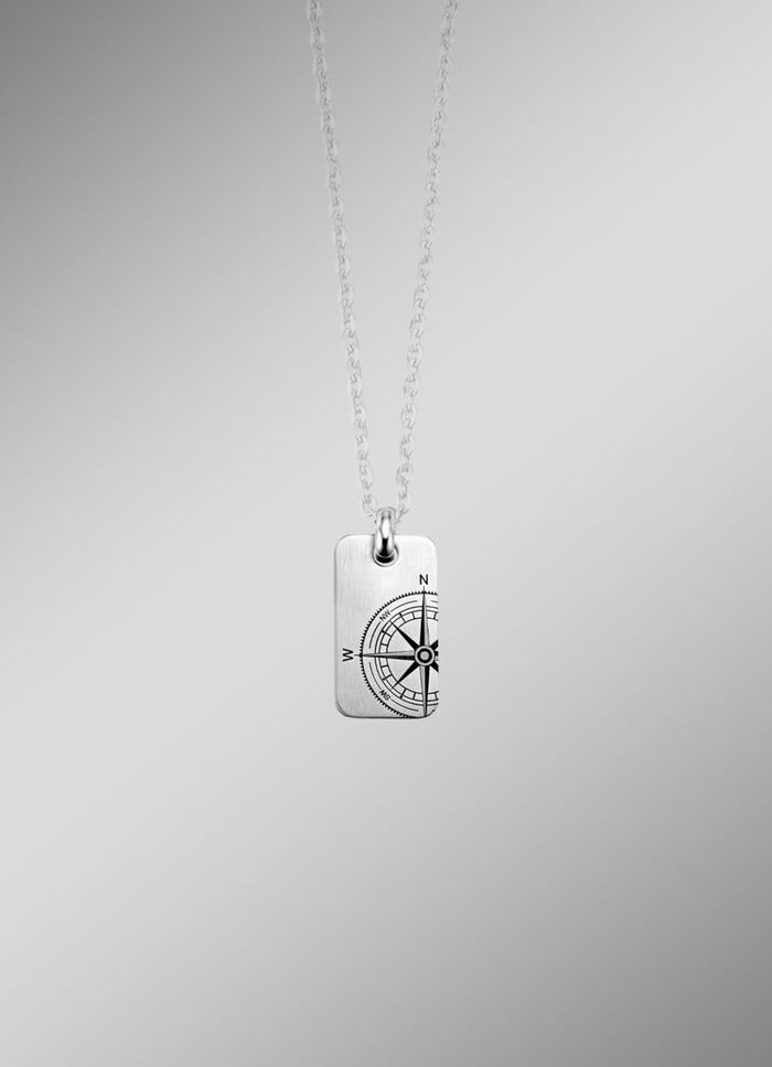 RVS hanger met kompasroos 