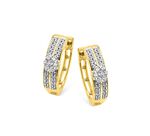 Hoogwaardige oorringen met briljanten en diamanten 