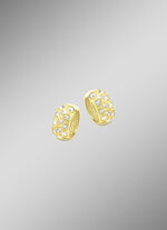 Tweekleurige creolen 