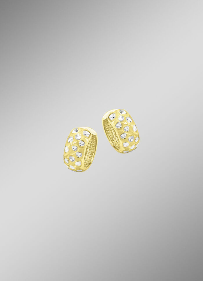 Tweekleurige creolen 