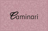 BADER1Logo_Caminari_2021H BADER1Logo_Caminari_2021H