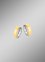 Dubbelzijdige creolen in twee kleuren 