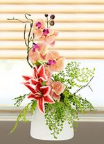 Charmant orchidee&euml;narrangement in een vaas 