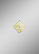 Vergulde hanger met zirkonia 