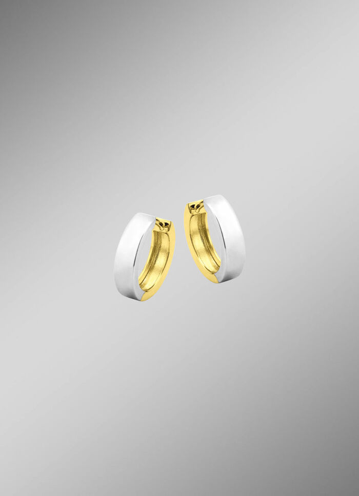 Dubbelzijdige creolen in twee kleuren 