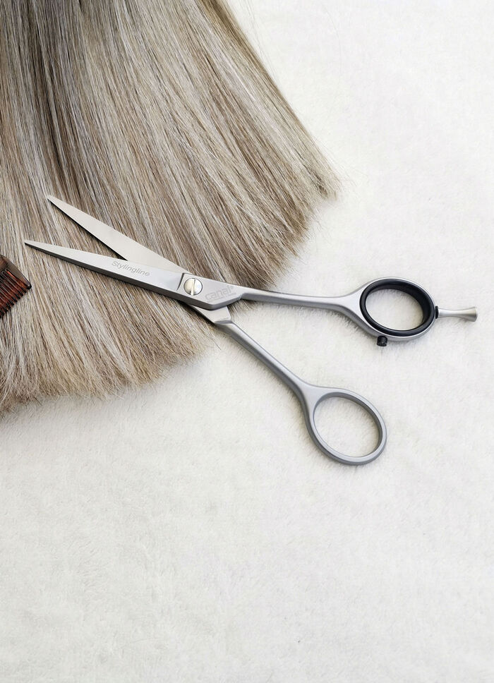 Professionele haarschaar 
