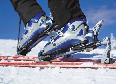 Verwarmbare thermozool, verschillende uitvoeringen 