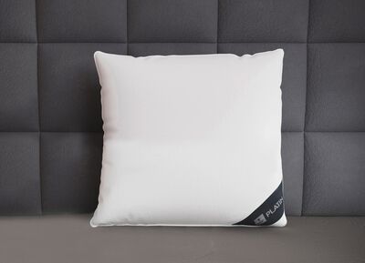 Donzen kussen platina van Spessarttraum 