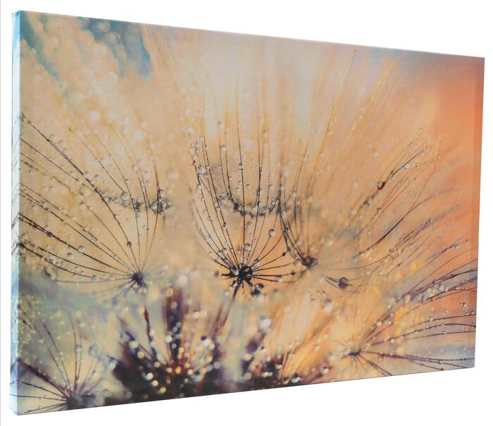 Canvasfoto met certificaat 