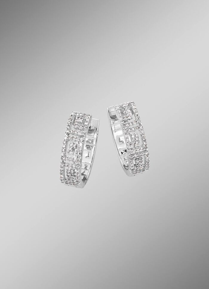 Stralende oorringen met diamanten 