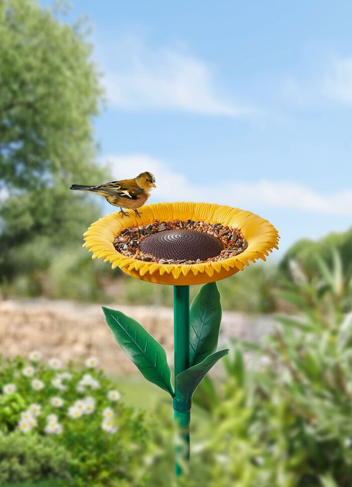 Voederstation voor zonnebloemvogels 
