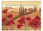 Foto getiteld Klaprozen in Toscane 