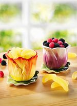 HARIBO leuke bloempotten in set van 2 