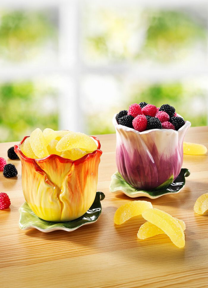 HARIBO leuke bloempotten in set van 2 