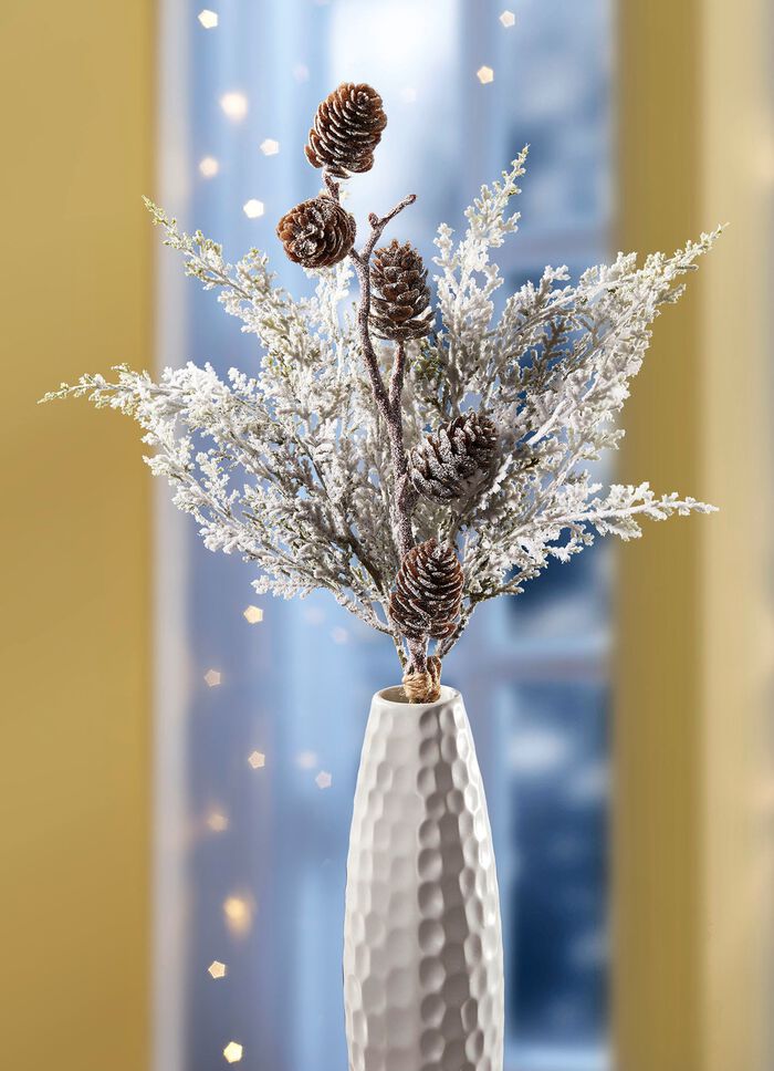 Thuja tak met echte kegels 