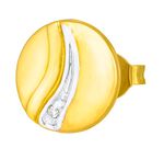 Chique oorbellen in bicolor met 2 diamanten 