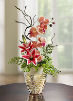 Orchideeënbloemstuk in pot 