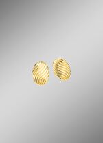 Prachtige oorbellen met groefontwerp 