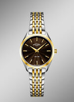 Roterend quartz dameshorloge met roestvrijstalen armbandkast 