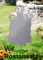 Meerkat-trio van speciaal staal 