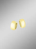 Tweekleurige creolen 