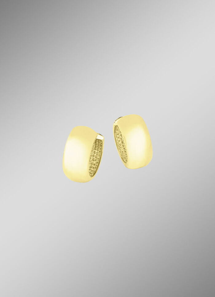 Tweekleurige creolen 