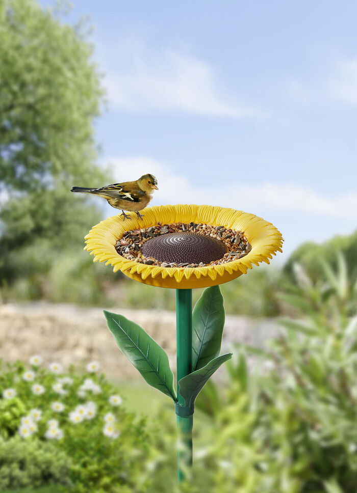 Voederstation voor zonnebloemvogels 