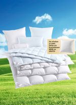 Ganzendons beddengoedprogramma van Sannwald 