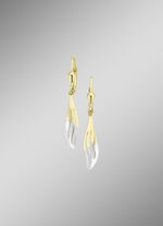 Klassieke, glanzende oorbellen in tweekleurig 