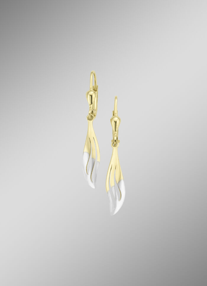 Klassieke, glanzende oorbellen in tweekleurig 