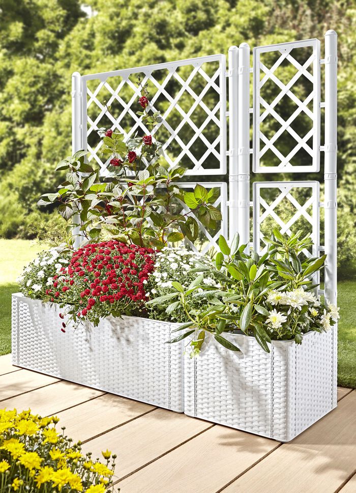 Plantenbak in moderne rotan-look WIT