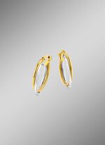 Glanzende oorringen in twee kleuren, 2 rijen 