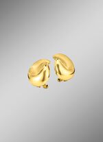 Clip-oorbellen, hoogglans/gesatineerd 