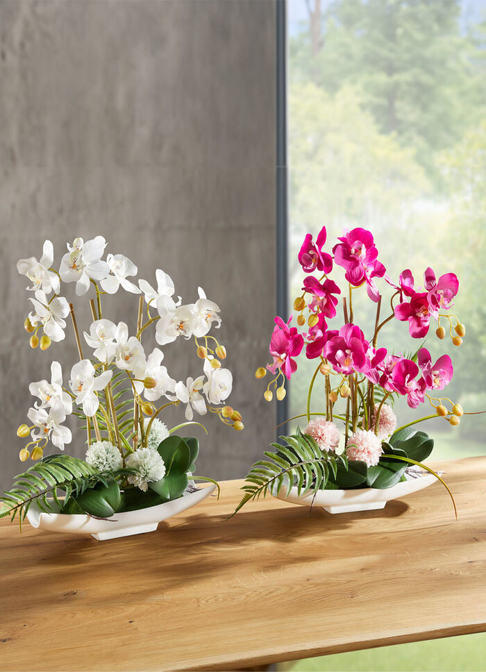 Orchideeën arrangement in kom WIT