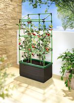 City Jungle traliewerkdoos 