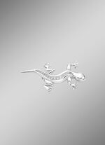 Zilveren salamanderspeld 