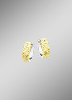 Tweekleurige creolen 