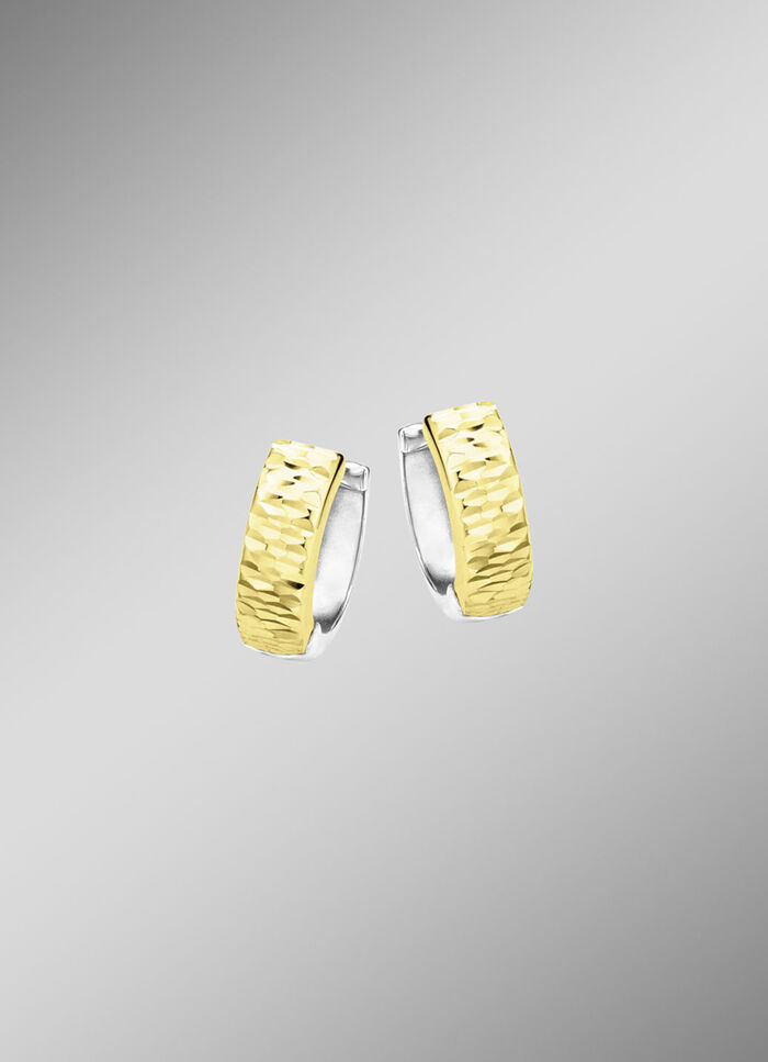 Tweekleurige creolen 