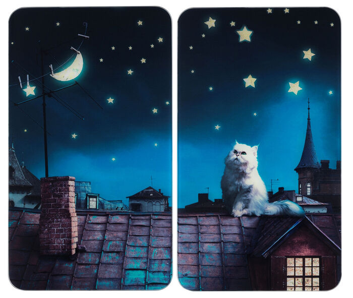 Kookplaatafdekplaten met Moon Cat-motief, set van 2 