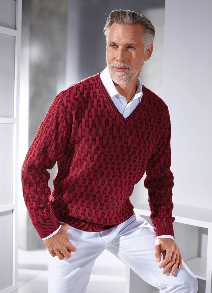 Trui met V-hals en structuurpatroon in 3 kleuren 