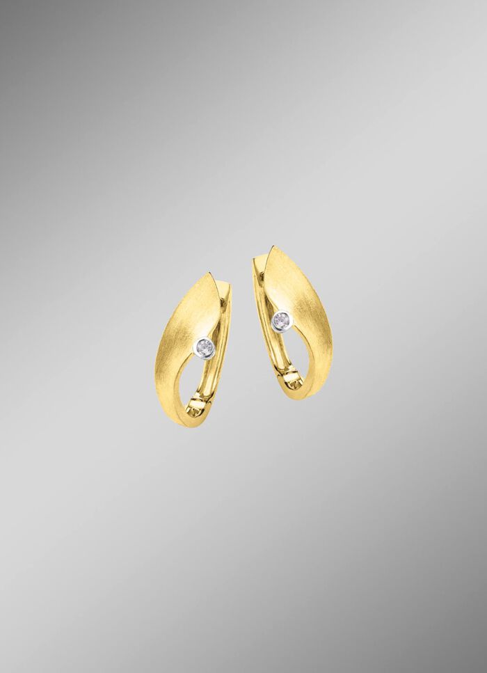 Smaakvolle creolen in twee kleuren 