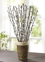 Tak met wilgenkatjes, set van 8 