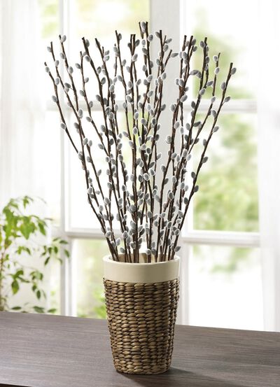 Tak met wilgenkatjes, set van 8 