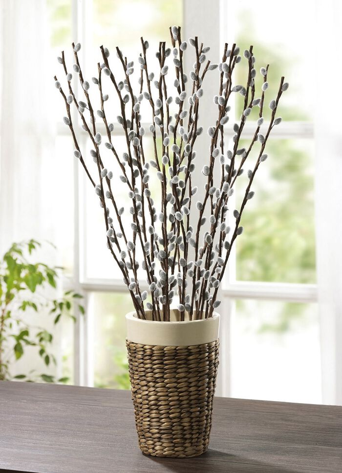 Tak met wilgenkatjes, set van 8 